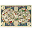Old celestial zodiac map Planisphæri Coeleste de Wit, by Frederik de Wit 1670