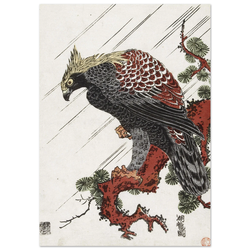 Eagle on pine branch in rain, by Isoda Koryusai