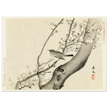 Bird in tree with white blossom by Matsumura Keibun, 1892