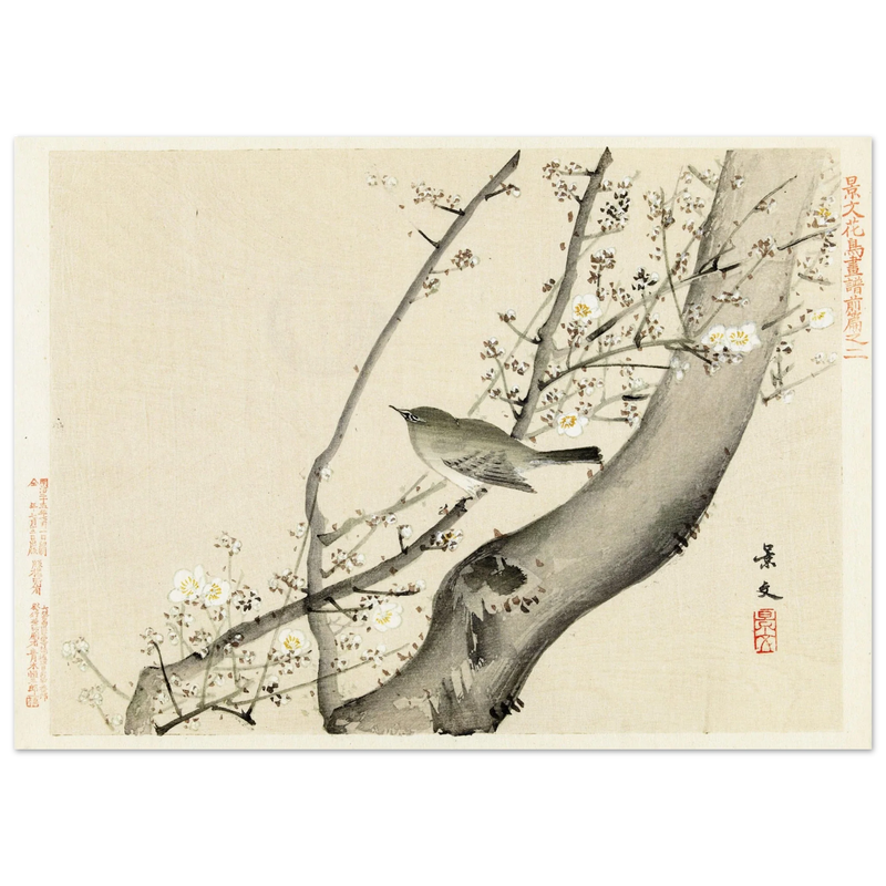 Bird in tree with white blossom by Matsumura Keibun, 1892
