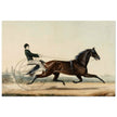 Racehorse Mac by  Nathaniel Currier 1853.