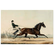Racehorse Mac by  Nathaniel Currier 1853.