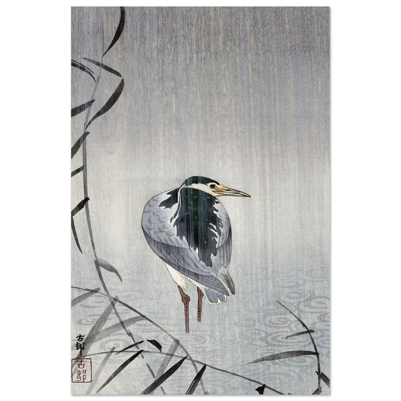 Quack in rain by Ohara Koson woodblock print reproduction.