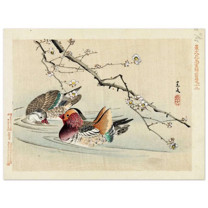 Two ducks by Matsumura Keibun, 1892.