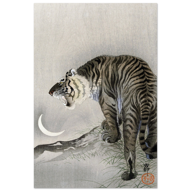A Roaring tiger by Ohara Koson  woodblock print reproduction