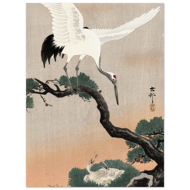 Japanese crane on pine branch by Ohara Koson