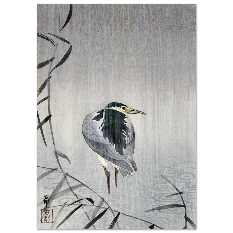 Quack in rain by Ohara Koson woodblock print reproduction.