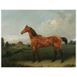 A Bay Horse in a Field by Edmund Bristow old painting 1825.