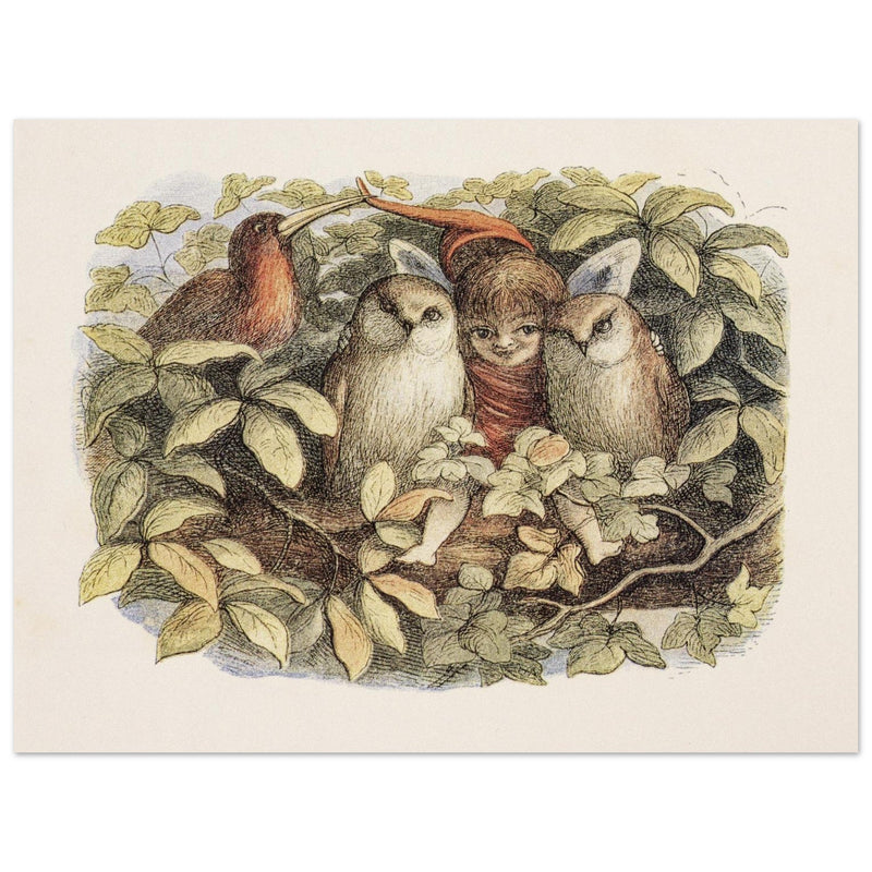 Richard Doyle illustration for Fairyland book. Elves and owls