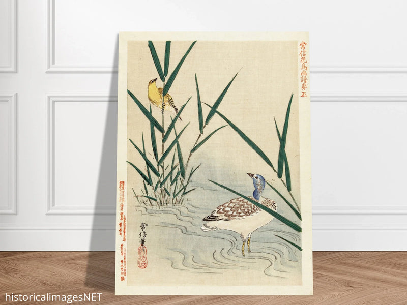Water bird looking at yellow songbird by Kano Tsunenobu, 1893.