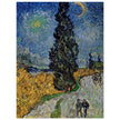 Country road in Provence by night Vicent Van Gogh