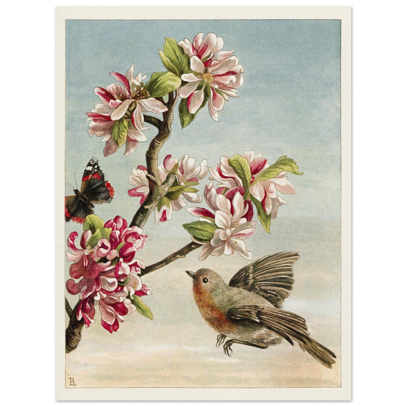 About Robins vintage cute bird illustration by Lady Lindsay