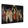 Canvas La Primavera ( Spring ) by Sandro Botticelli 1481-1482