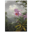 Hummingbird Perched on the Orchid Plant  by Martin Johnson Heade