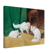 Three white cats playing old painting by Arthur Heyer.