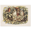 Richard Doyle illustration for Fairyland book. Elves and owls