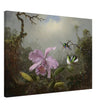Cattleya Orchid with Two Brazilian Hummingbirds by Martin Johnson Heade