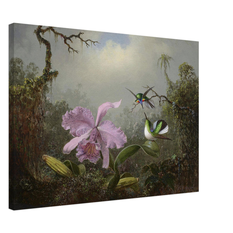 Cattleya Orchid with Two Brazilian Hummingbirds by Martin Johnson Heade