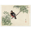 Black-red bird by Matsumura Keibun, 1892.
