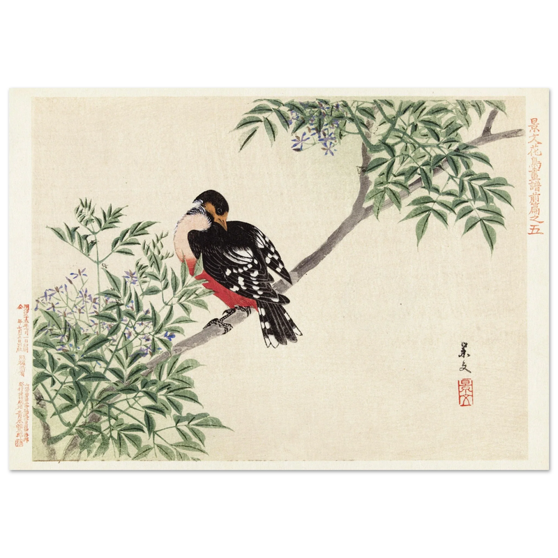 Black-red bird by Matsumura Keibun, 1892.