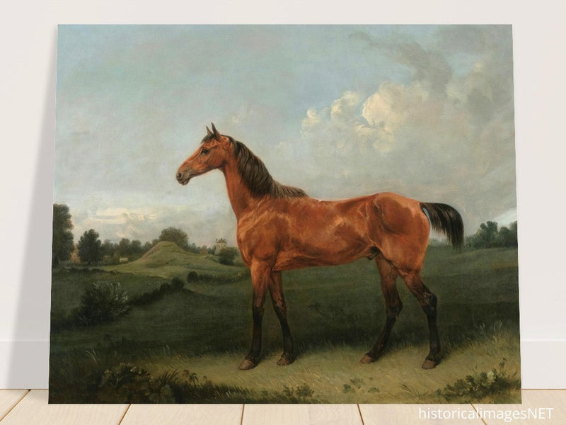 A Bay Horse in a Field by Edmund Bristow old painting 1825.