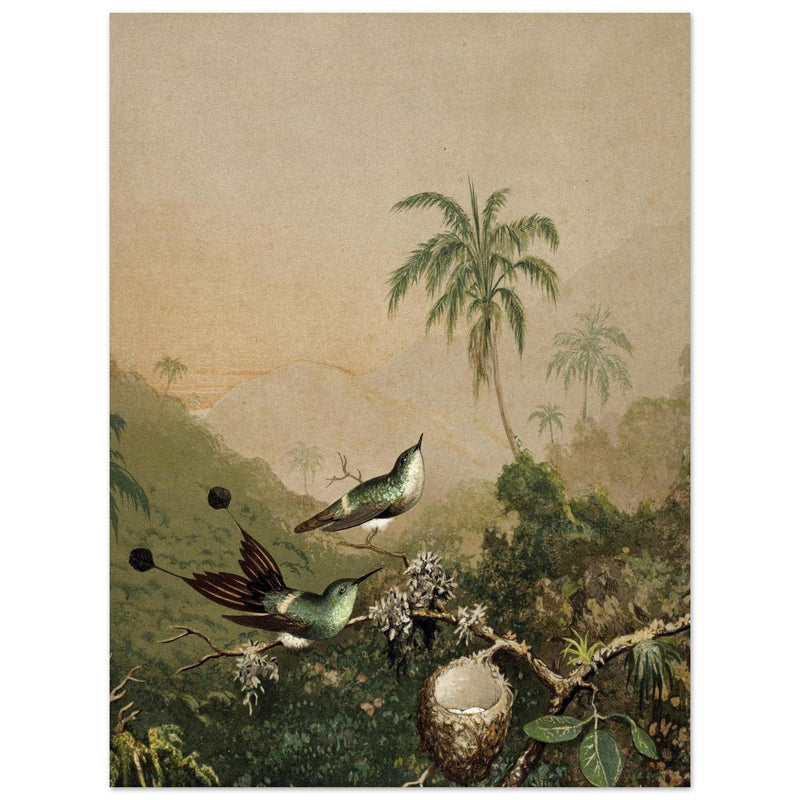 Brazilian Hummingbirds II by Martin Johnson Heade