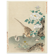 Quail with chicks by Kano Tsunenobu, 1893.