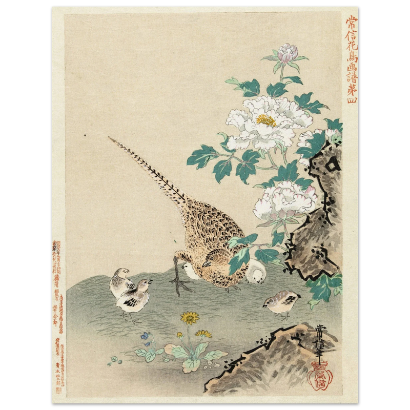 Quail with chicks by Kano Tsunenobu, 1893.