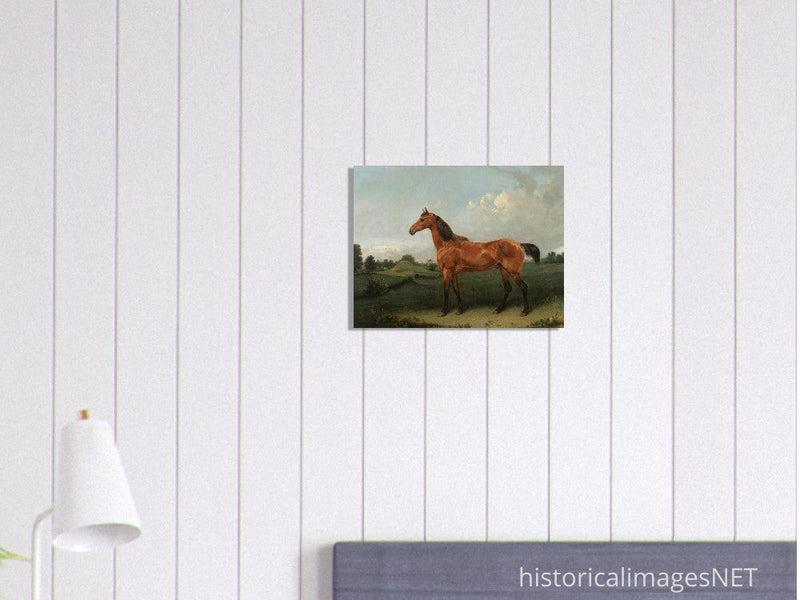 A Bay Horse in a Field by Edmund Bristow old painting 1825.