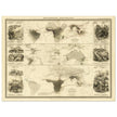 Mammiferous animal distribution old map  poster 1848 by Alexander Keith Johnston