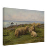 Sheep by the Sea by Rosa Bonheur.