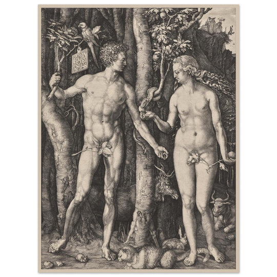 Adam and Eve by Albrecht Dürer