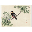 Black-red bird by Matsumura Keibun, 1892.