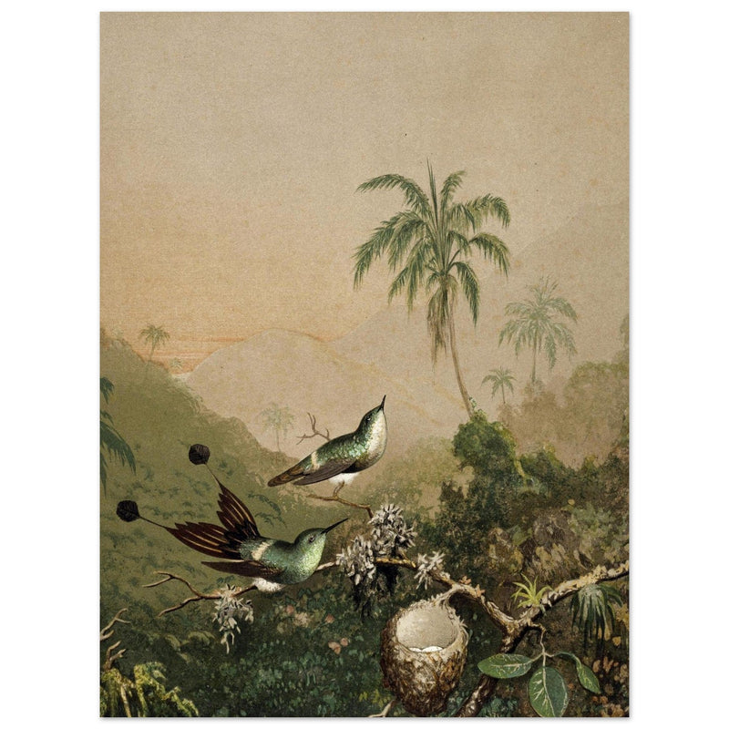 Brazilian Hummingbirds II by Martin Johnson Heade