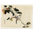 Bird and persimmon by Matsumura Keibun, 1892.