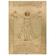 Leonardo da Vinci Vitruvian Man drawing  .