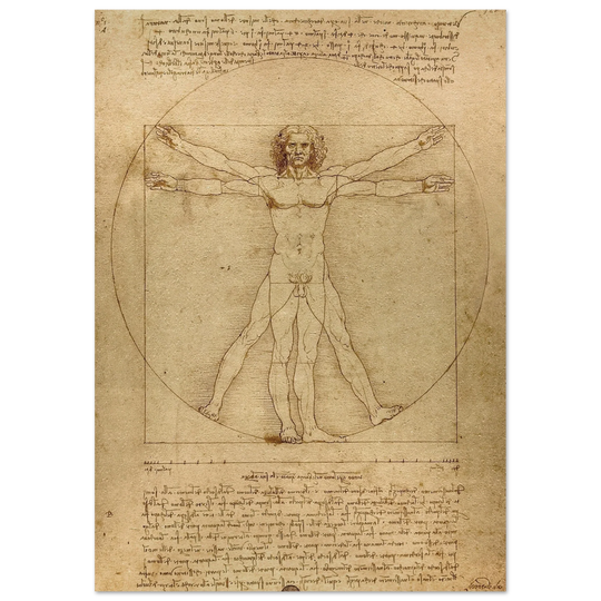 Leonardo da Vinci Vitruvian Man drawing  .