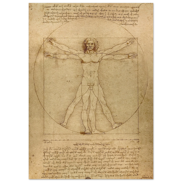 Leonardo da Vinci Vitruvian Man drawing  .