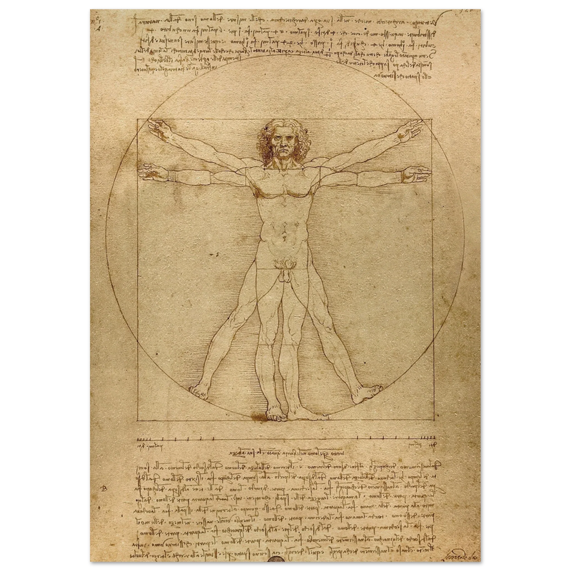 Leonardo da Vinci Vitruvian Man drawing  .