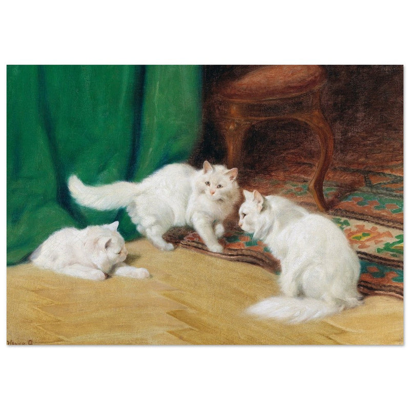 Three white cats playing old painting by Arthur Heyer.