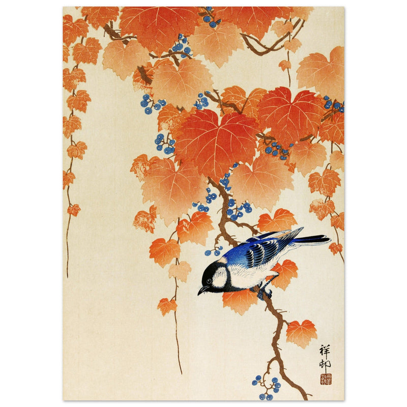 Great tit on paulownia branch by Ohara Koson woodblock print reproduction .