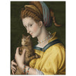 Portrait of a young lady holding a cat by Antonio d'Ubertino Verdi, Bachiacca