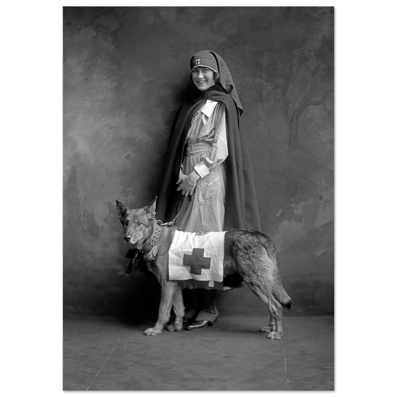 Red Cross nurse with dog poster reproduction by Harris & Ewing 1915-1918
