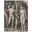 Adam and Eve by Albrecht Dürer