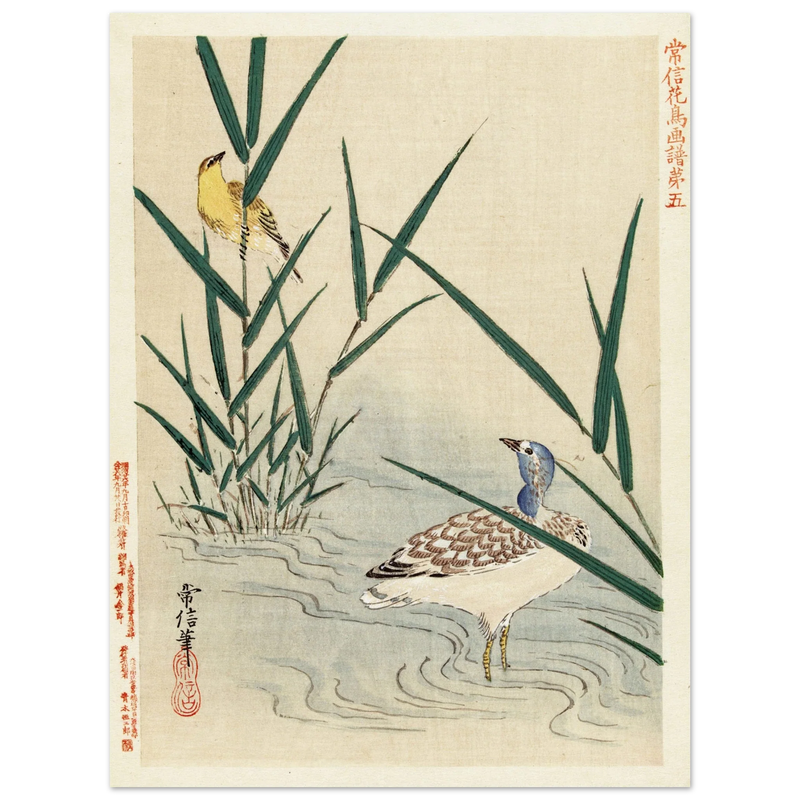 Water bird looking at yellow songbird by Kano Tsunenobu, 1893.