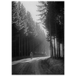 World War 2 poster. American soldier walking along forest near Bastogne .