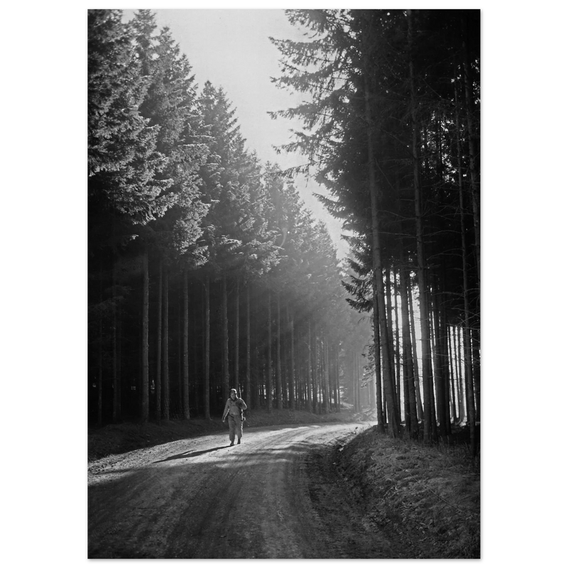 World War 2 poster. American soldier walking along forest near Bastogne .