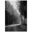 World War 2 poster. American soldier walking along forest near Bastogne .