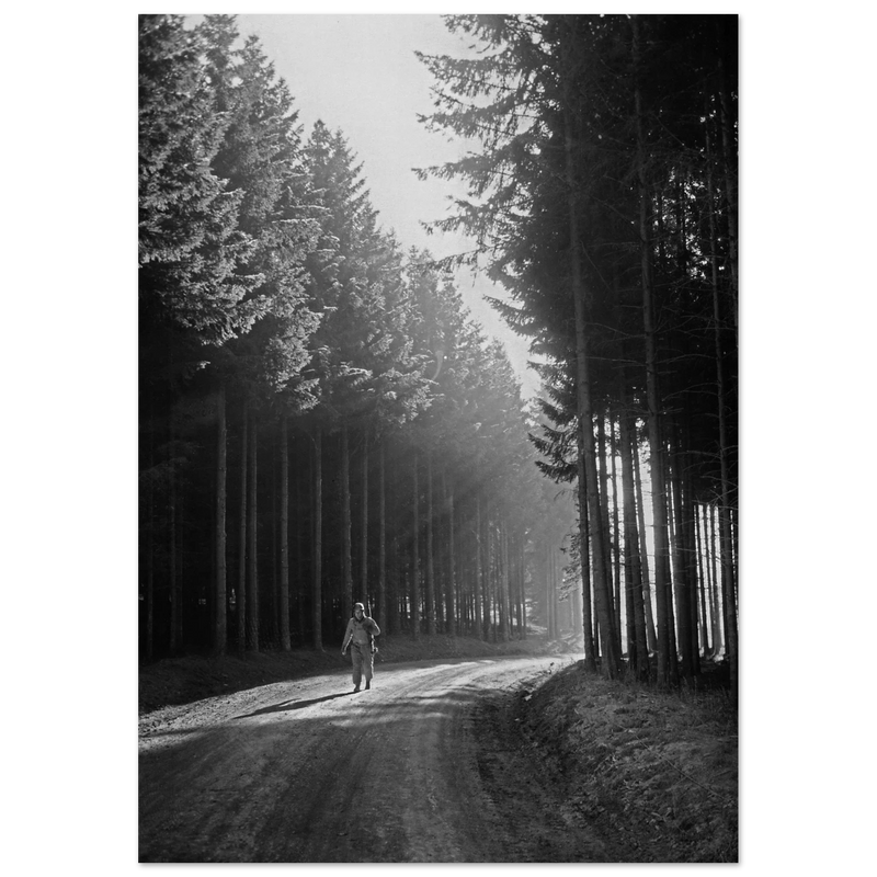 World War 2 poster. American soldier walking along forest near Bastogne .