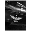 Eagle emblem on airplane Vintage aircraft old photograph reproduction